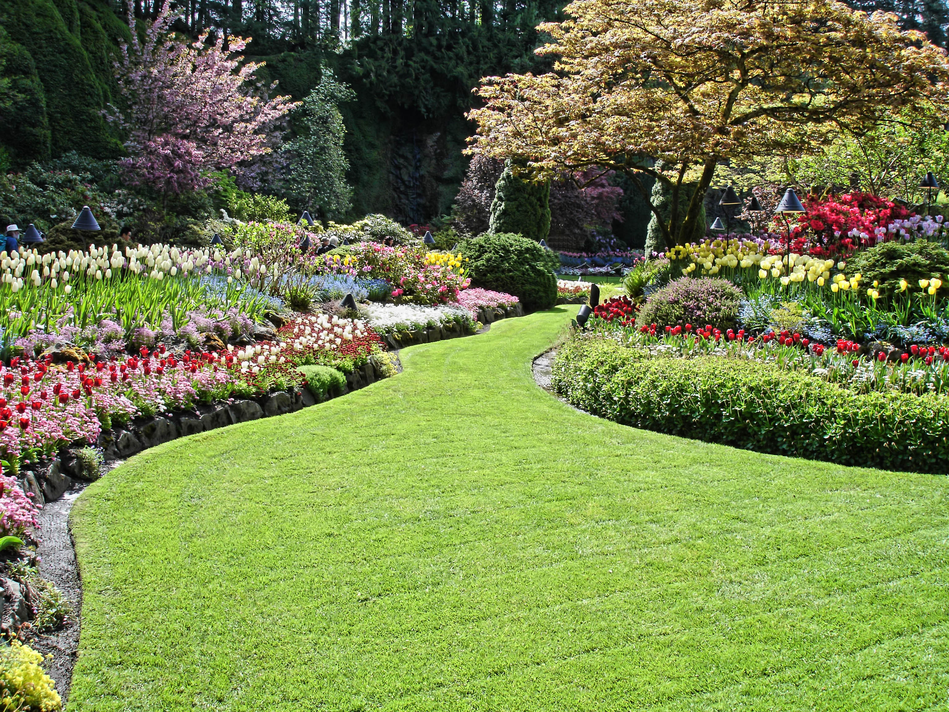 landscaping